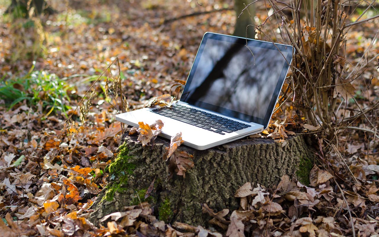 Laptop on a stump in the forest